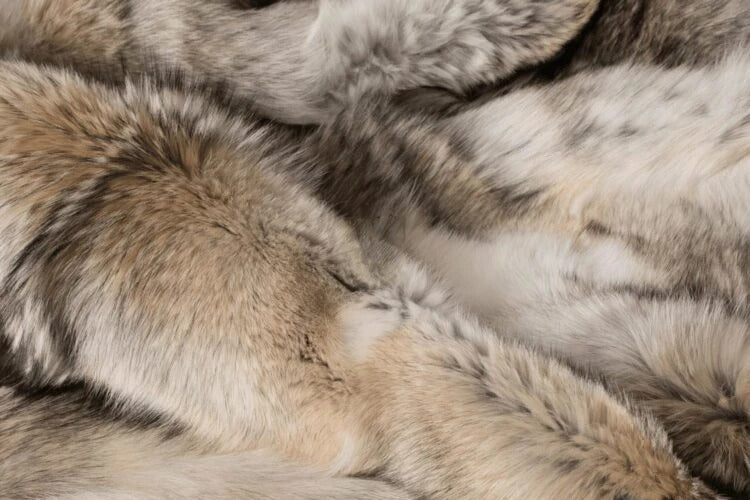 Coyote Blanket