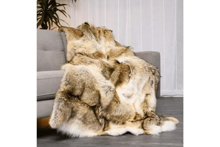 Coyote Blanket