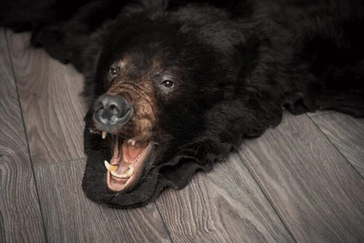 Black Bear Rug