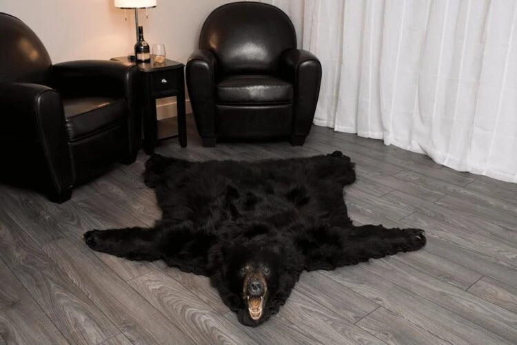 Black Bear Rug