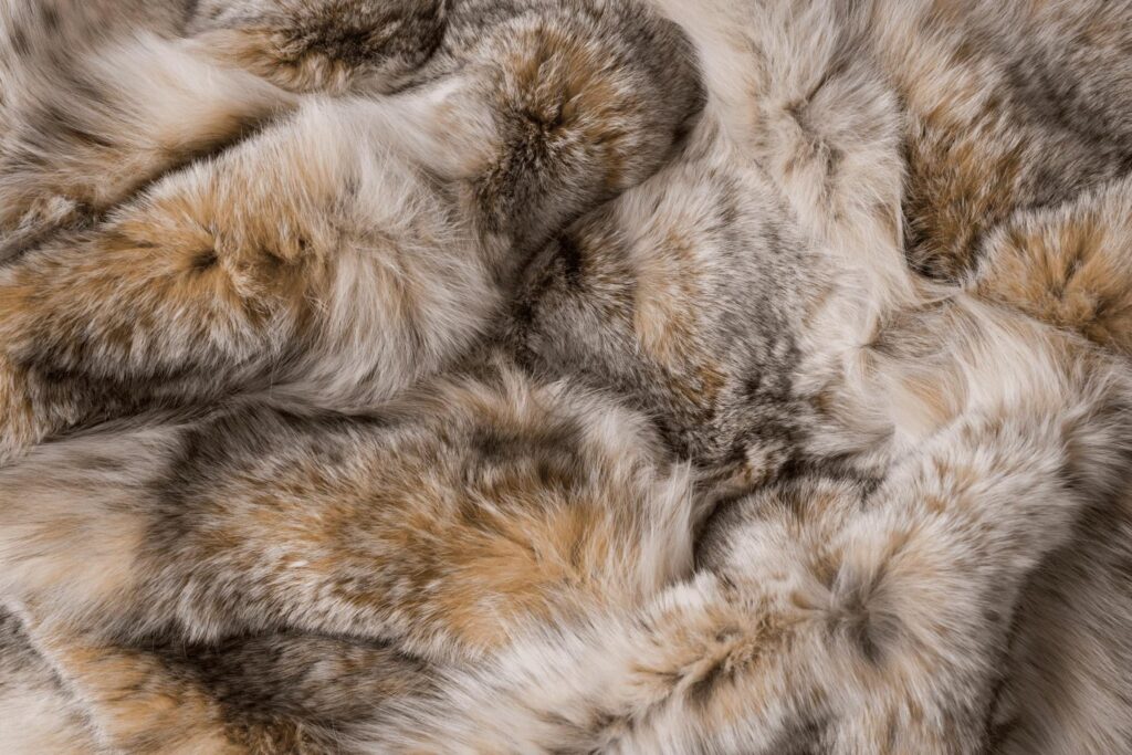 Lynx Blanket